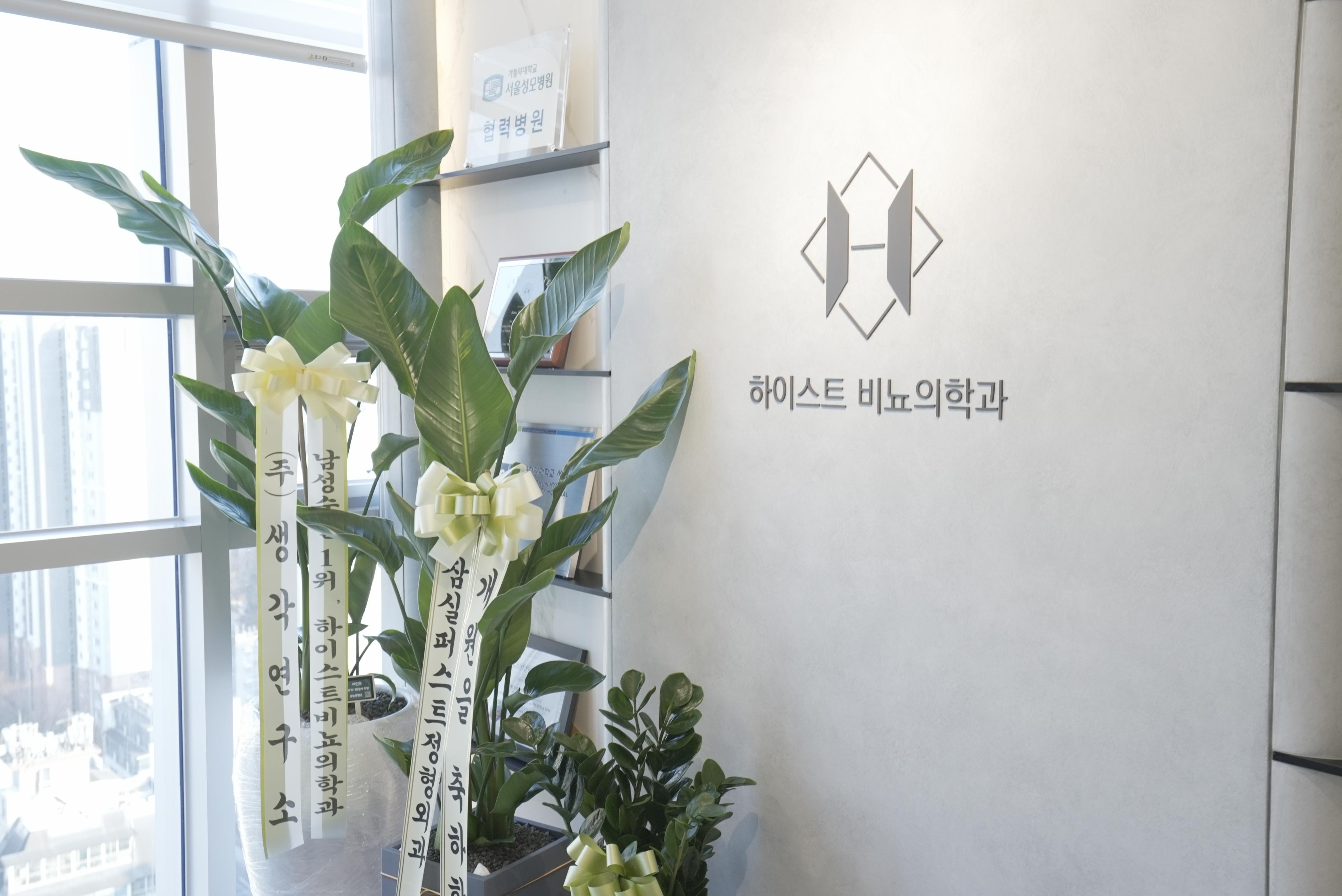 지루 치료 병원, 하이스트 비뇨의학과